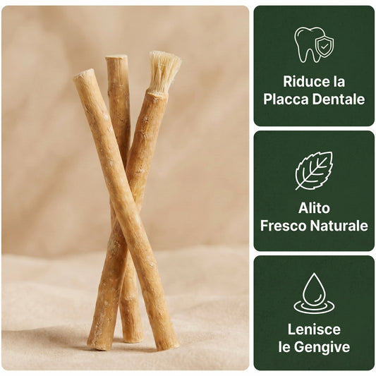 Miswak - Spazzolino Naturale (set da 3)
